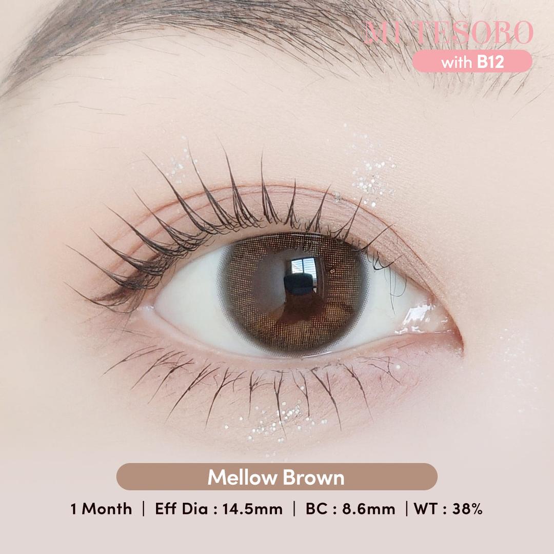 Mellow Brown-Mi Tesoro Monthly Color Con 2pcs (Eff dia:14.5mm)