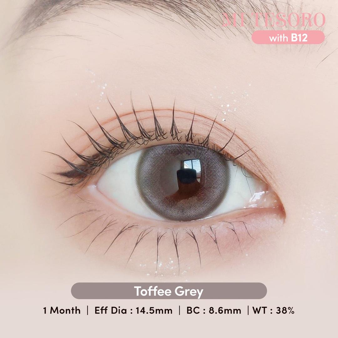 Toffee Grey -Mi Tesoro Monthly Color Con 2pcs (Eff dia:14.5mm)