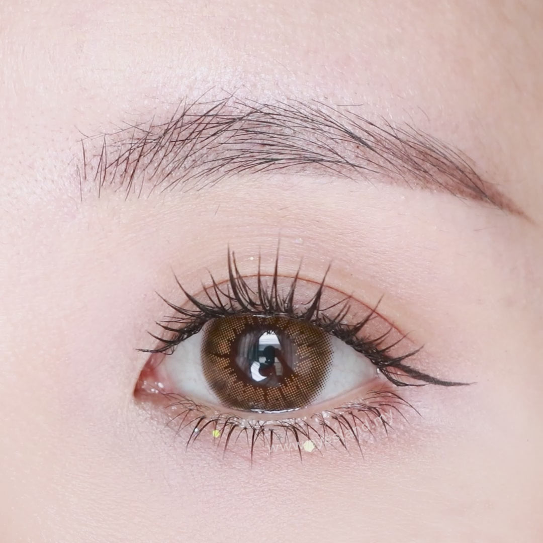 Vogue Choco-Star Shine 1 Day Color Contact Lenses 10pcs (Eff dia:14.5mm)