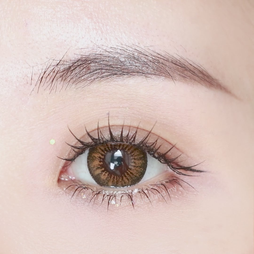 Pure Chocolate-Pure Plus Silicone Hydrogel 1 Day Color Contact Lens 10pcs (Eff dia:15mm)