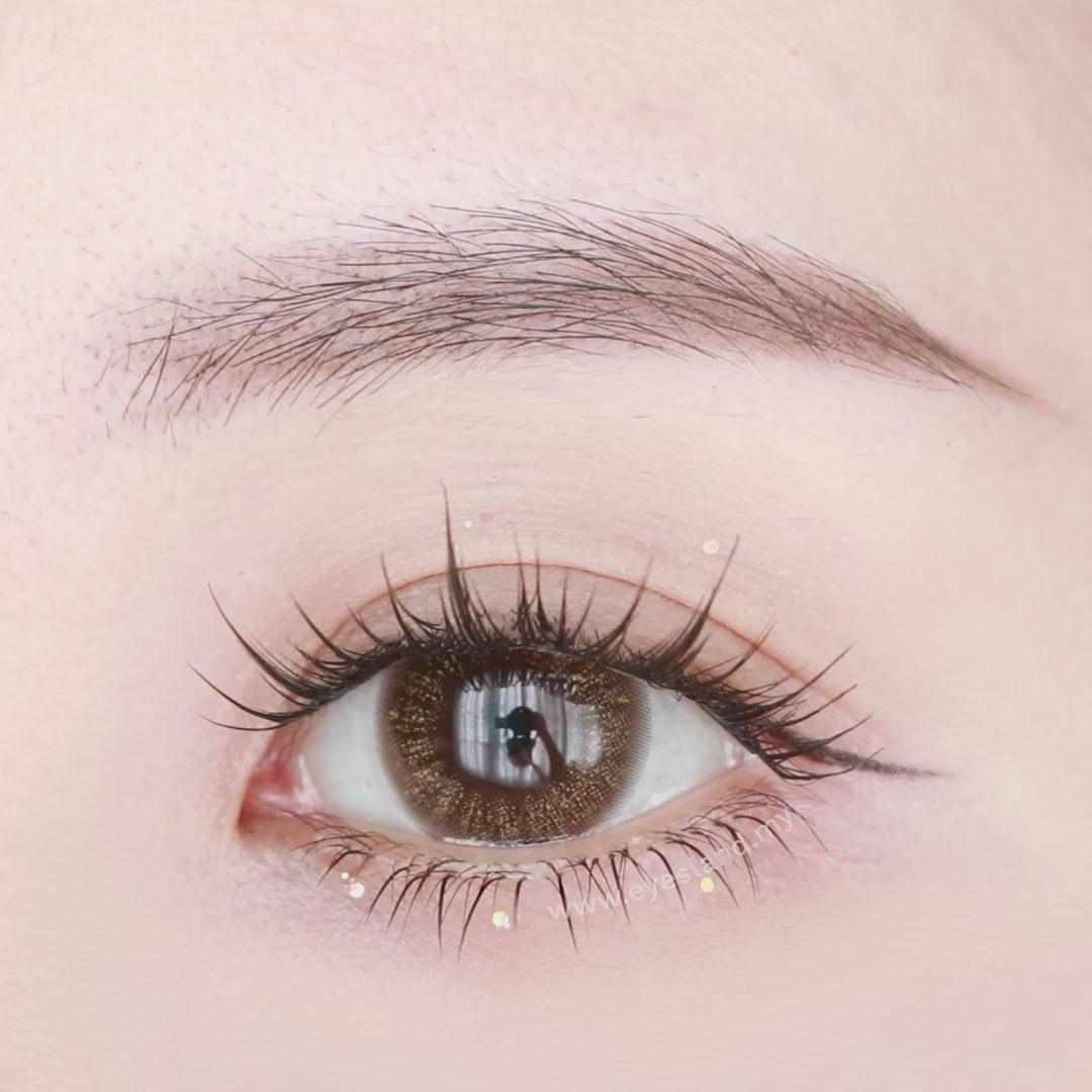 Throbbing Cafe-Mi Tesoro 1 Day Color Con 10pcs (Eff dia:14.2mm)