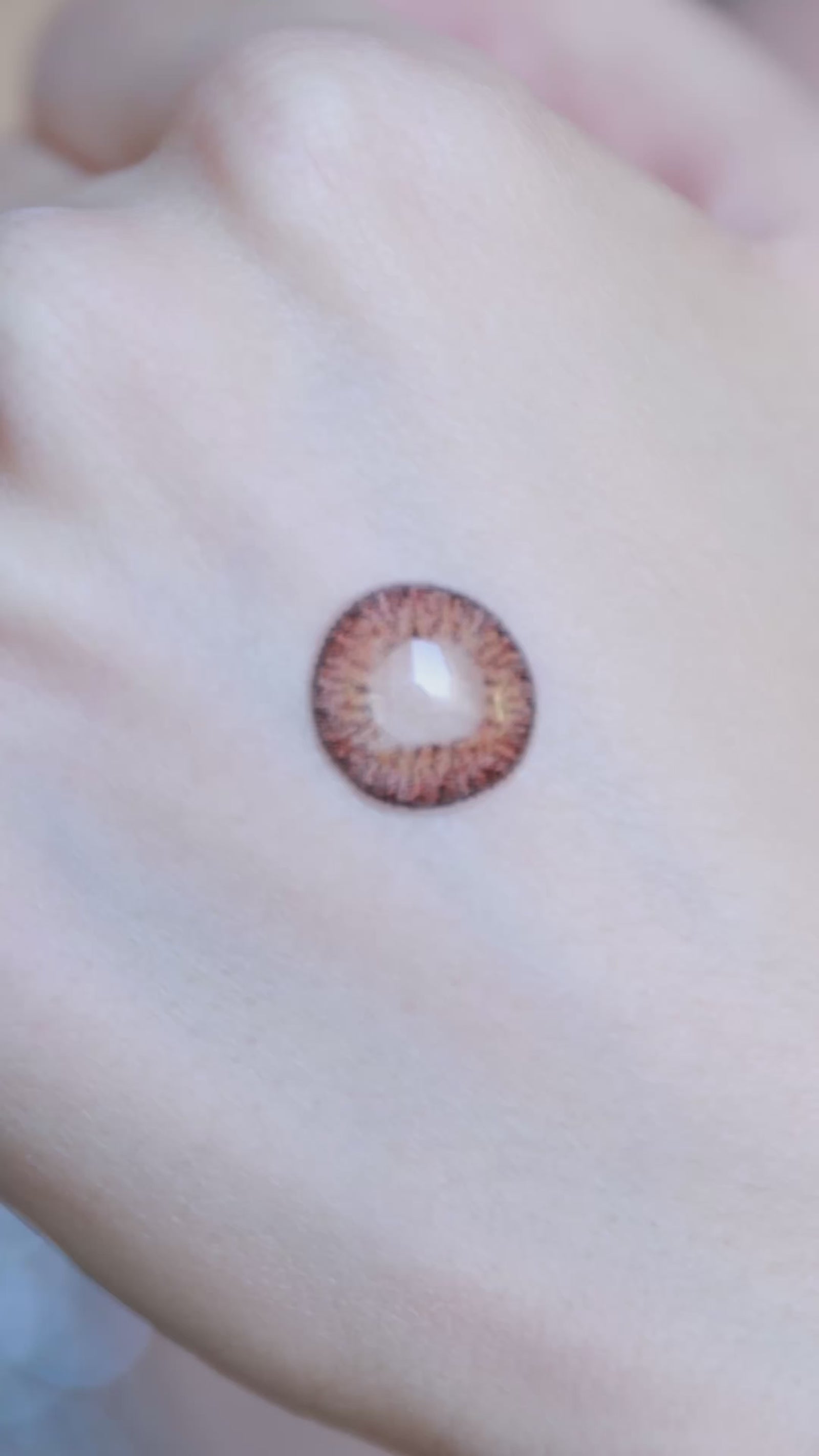 Shine Brown-Eye Secret 38% 3 Month Color Lens 2pcs (Eff dia:16mm)